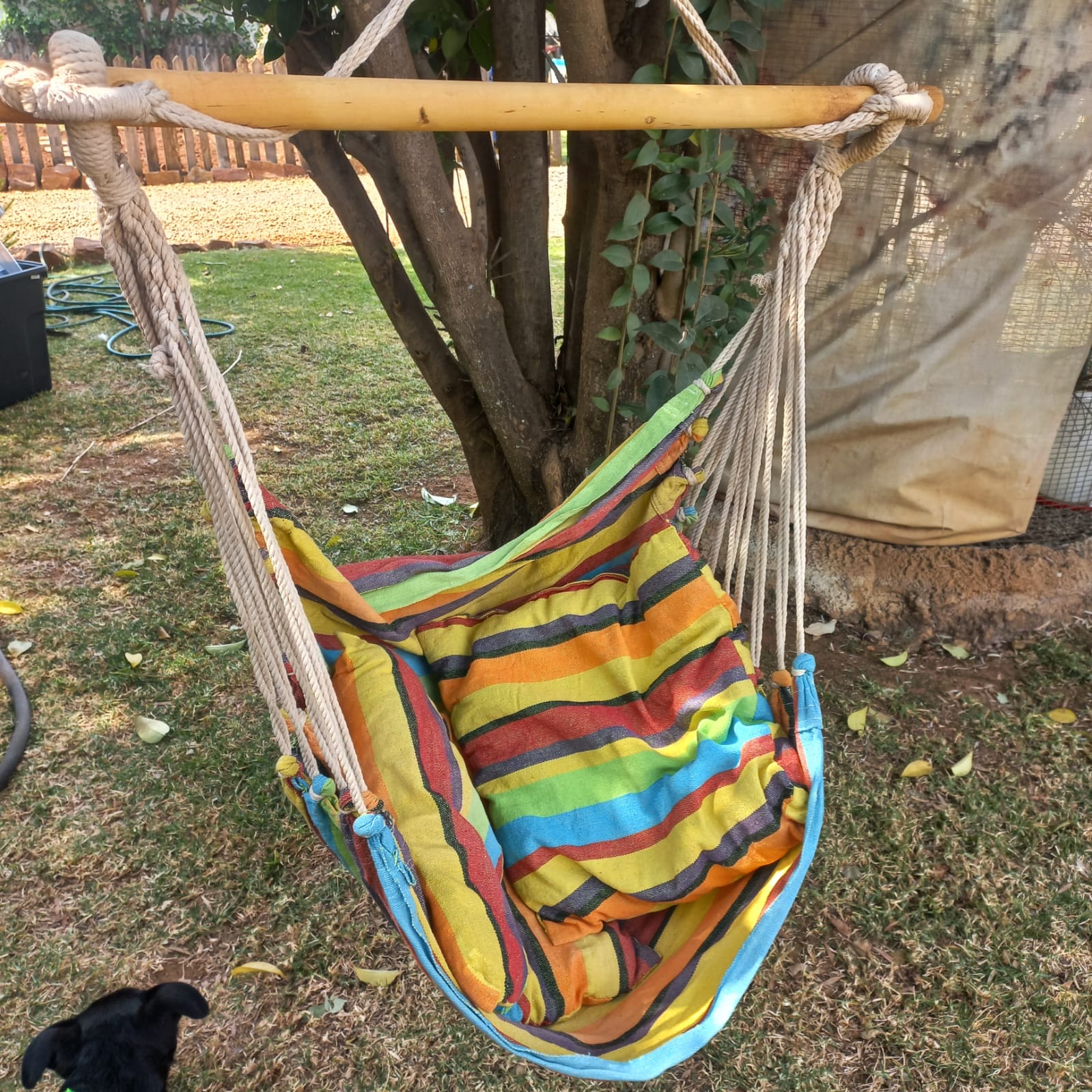 Striped Hanging Hammock Chair