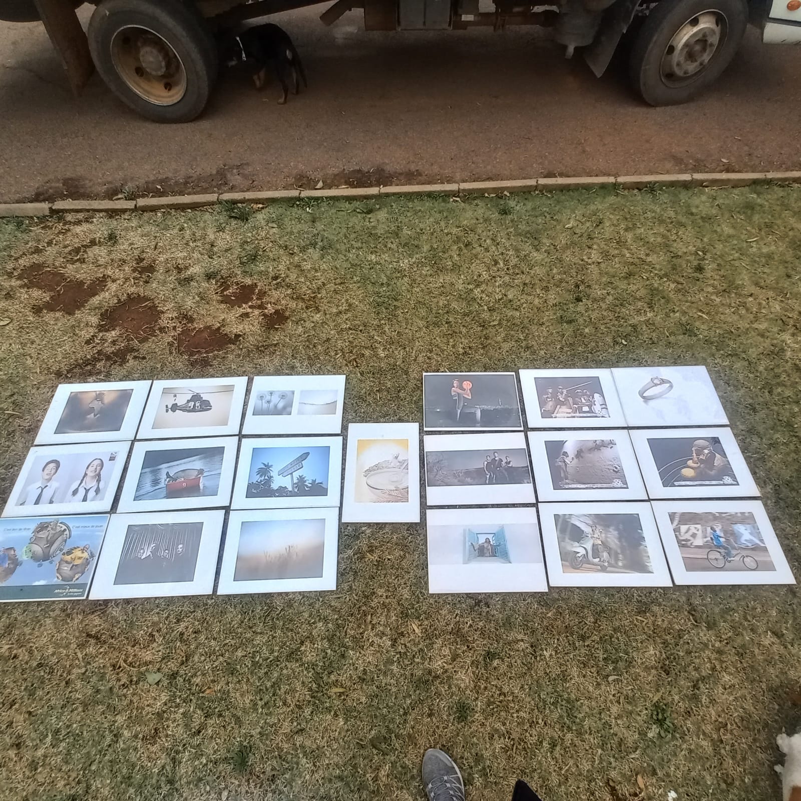 Collection of 19 Photographic Prints