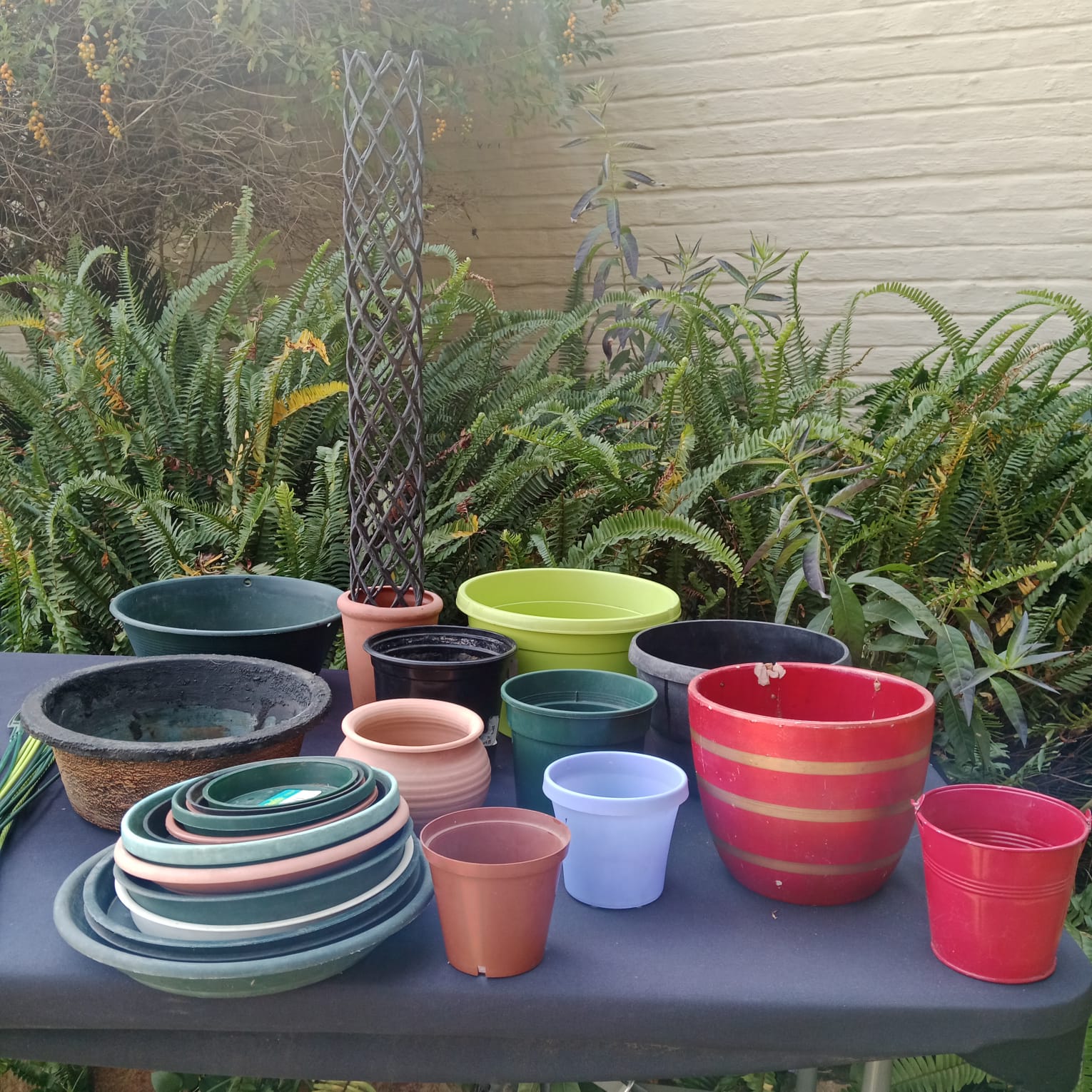 Assorted Garden Pot and Plant Accessory Bundle