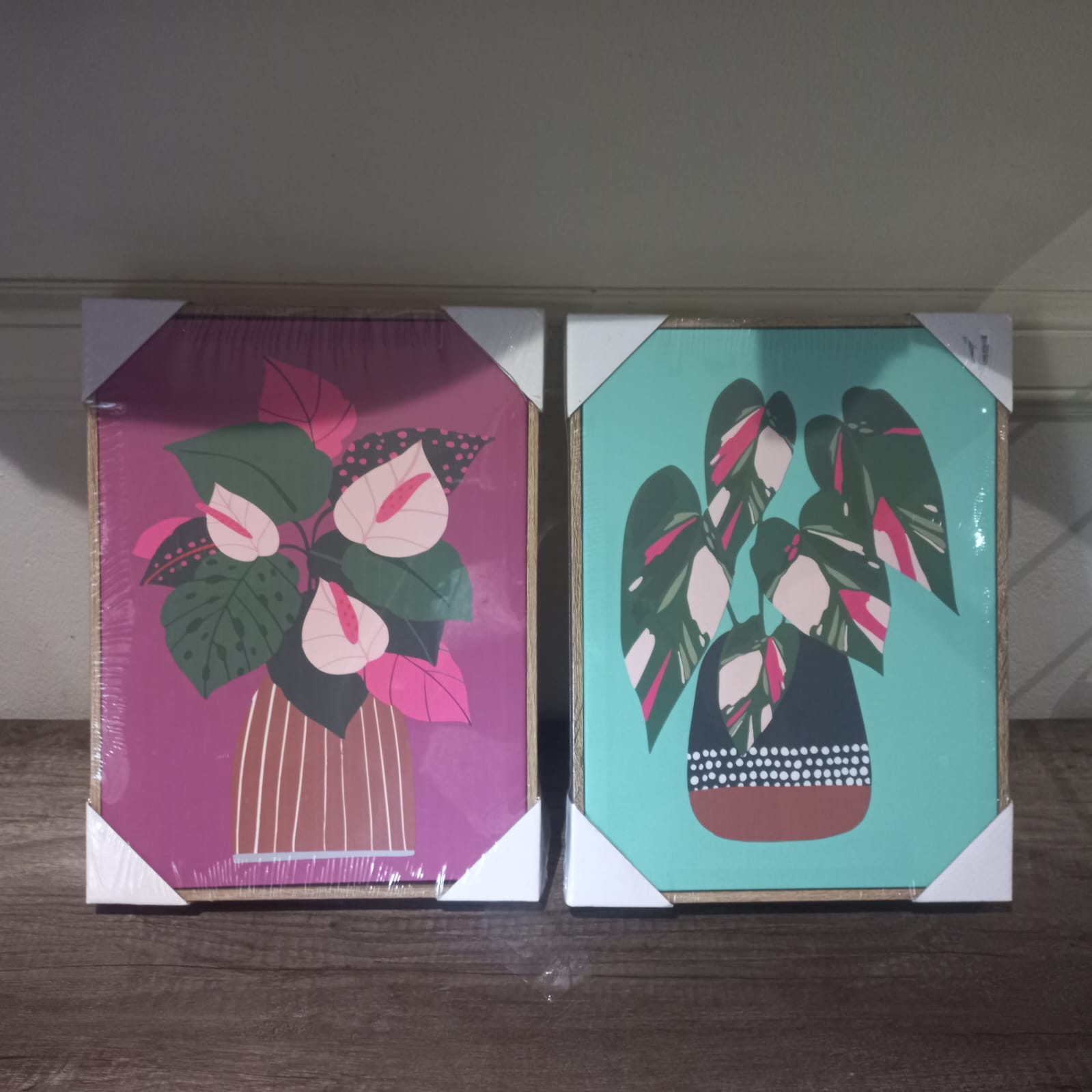 Pair of Potted Plant Botanical Canvas Prints