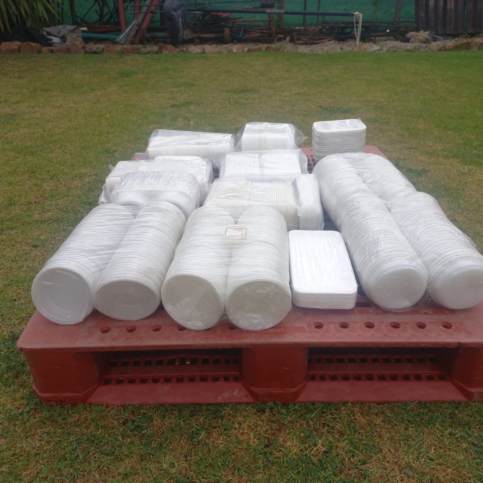Project Palesa - Bulk Lot of Assorted Polystyrene Food Containers
