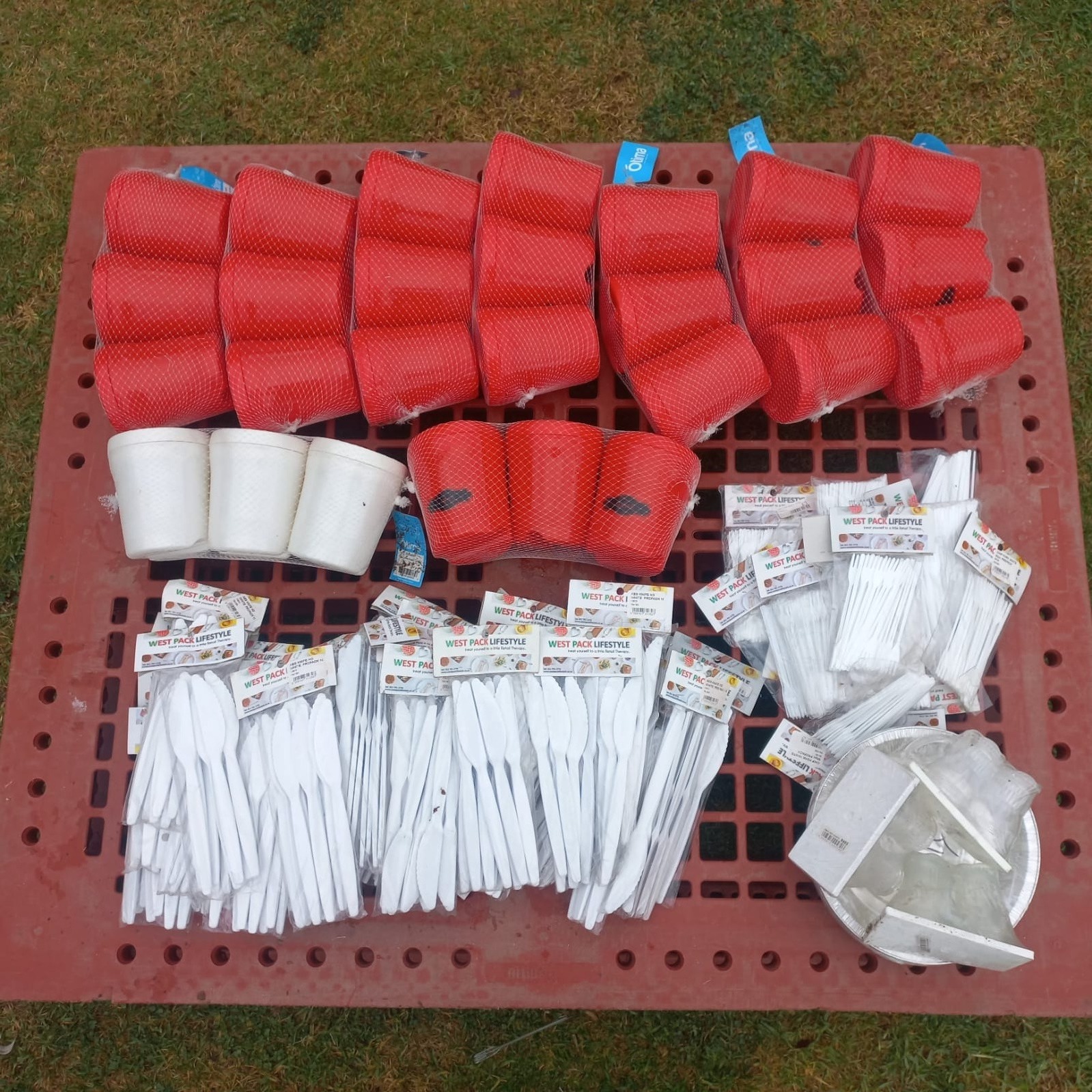 Project Palesa - Bulk Lot of Plastic Catering Supplies and Containers