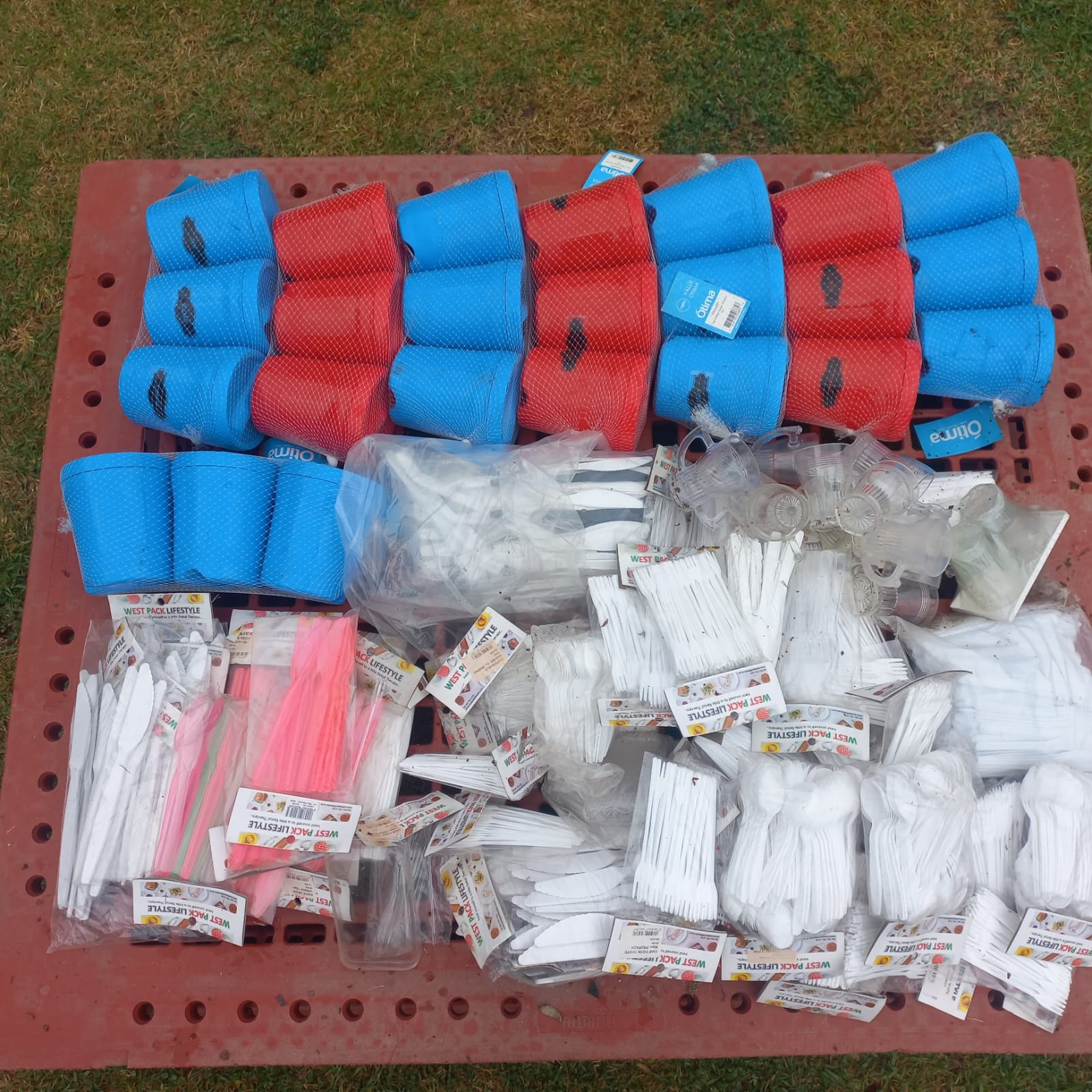 Project Palesa - Bulk Lot of Plastic Cups and Disposable Cutlery