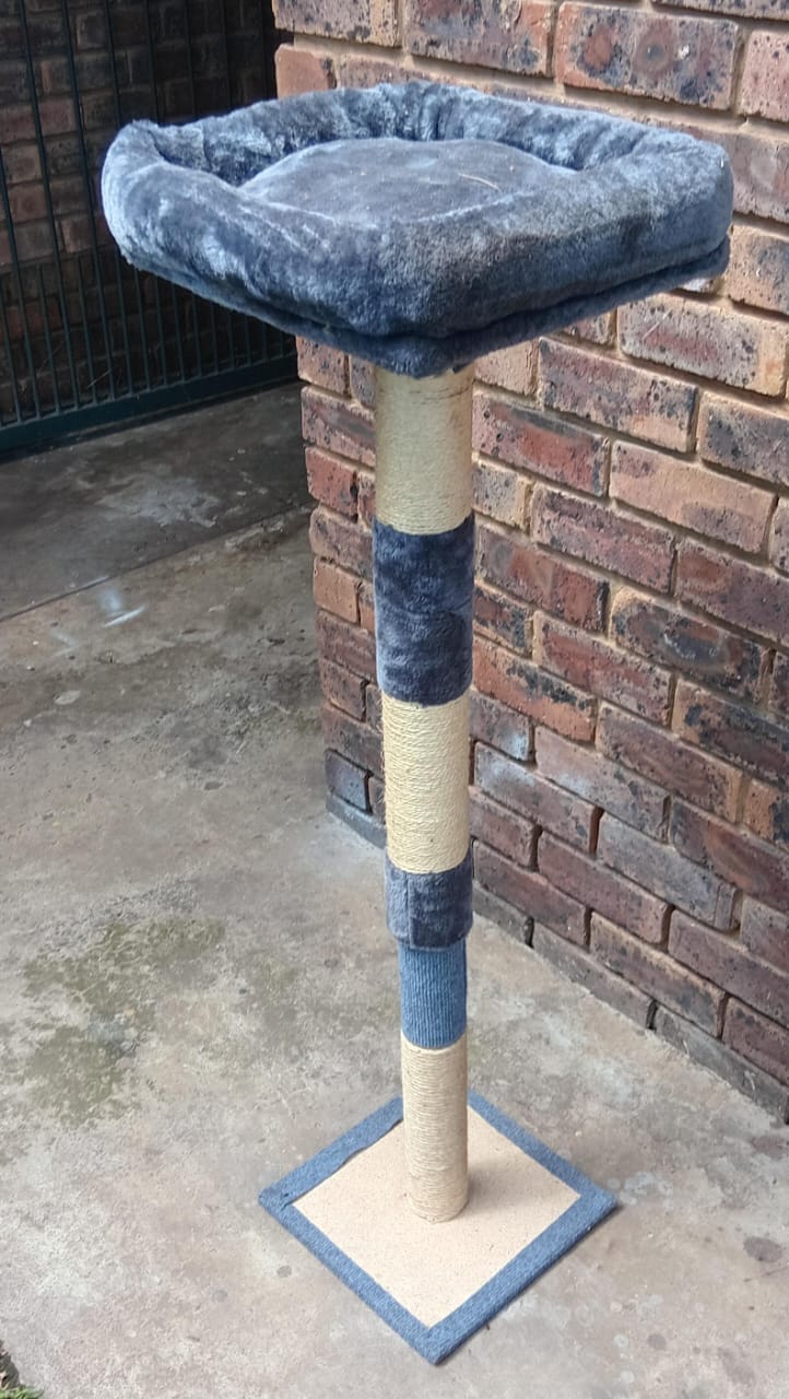 Cat Scratching Post with Perch